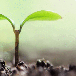 二世帯住宅に使える補助金は？ 地域型住宅グリーン化事業